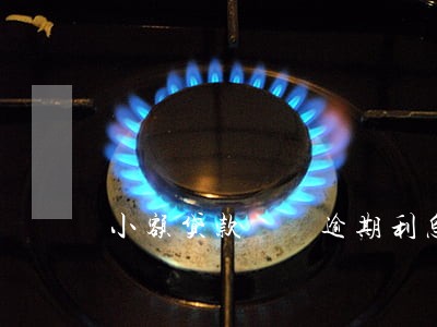 小额贷款  逾期利息